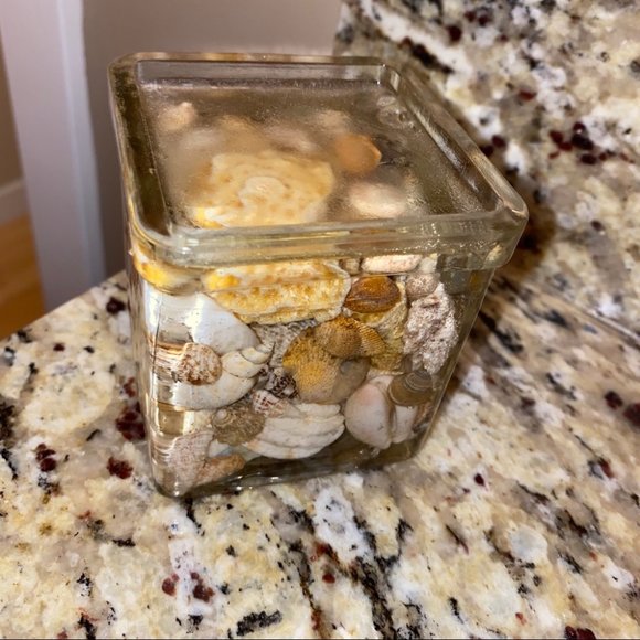 Gorgeous Stylish Modern Seashell Glass Decoration - Picture 2 of 4